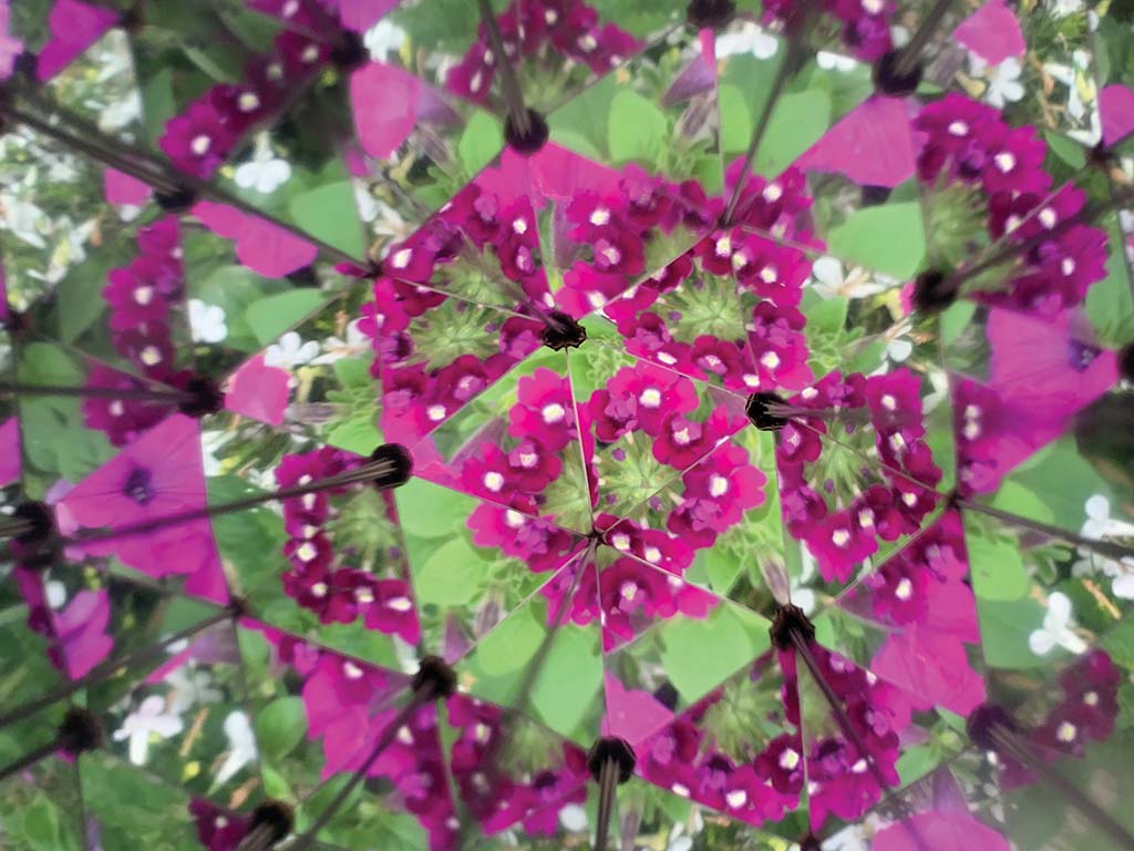 Nature Play Kaleidoscope
