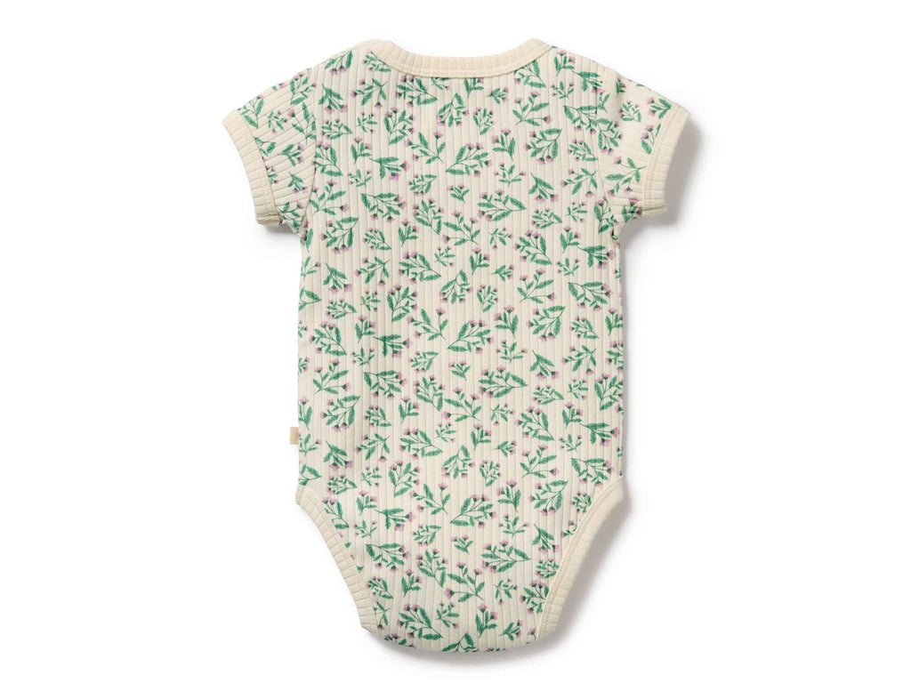 Wilson & Frenchy Organic Bodysuit | Periwinkle
