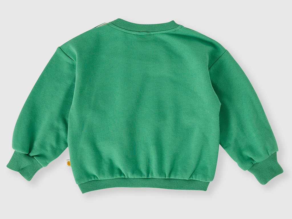 Green sweatshirt on a light gray background