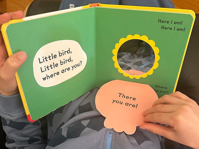 Little Dog, Where are you? (Baby Faces)