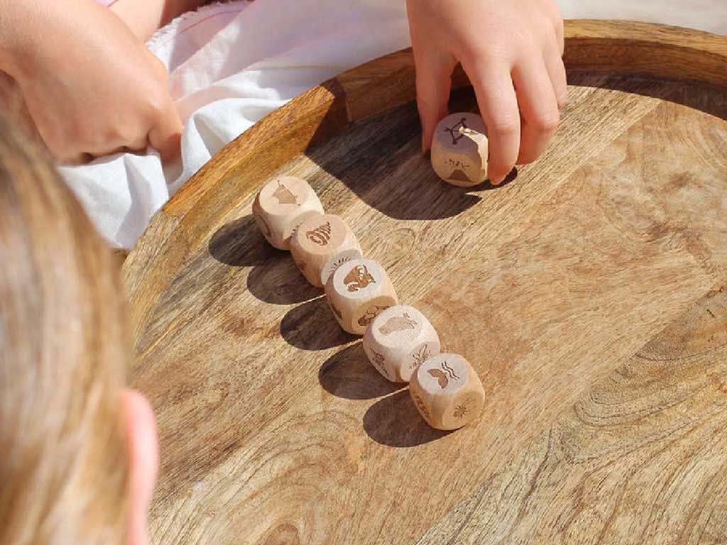 Poppy & Daisy Designs | Nature Story Cubes (Mini)