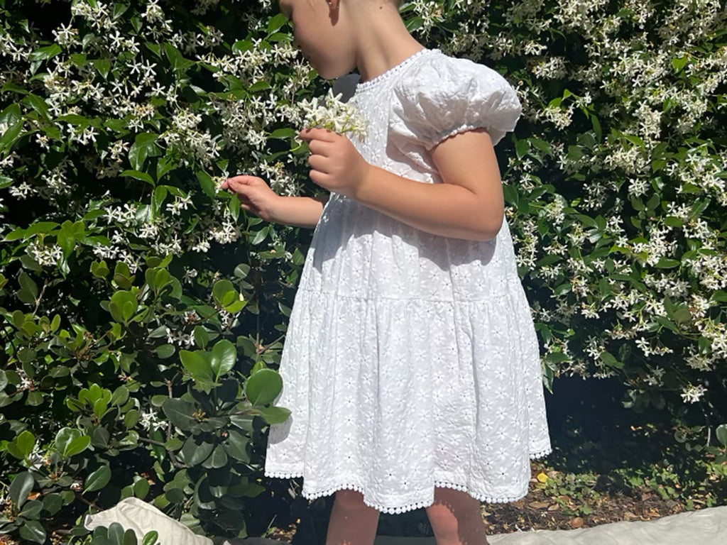 Rai & Co Eliza Dress