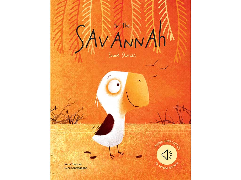 Sassi | In the Savannah Sound Book