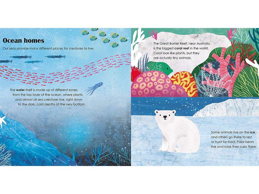 Seas | A Lift the Flap Eco Book