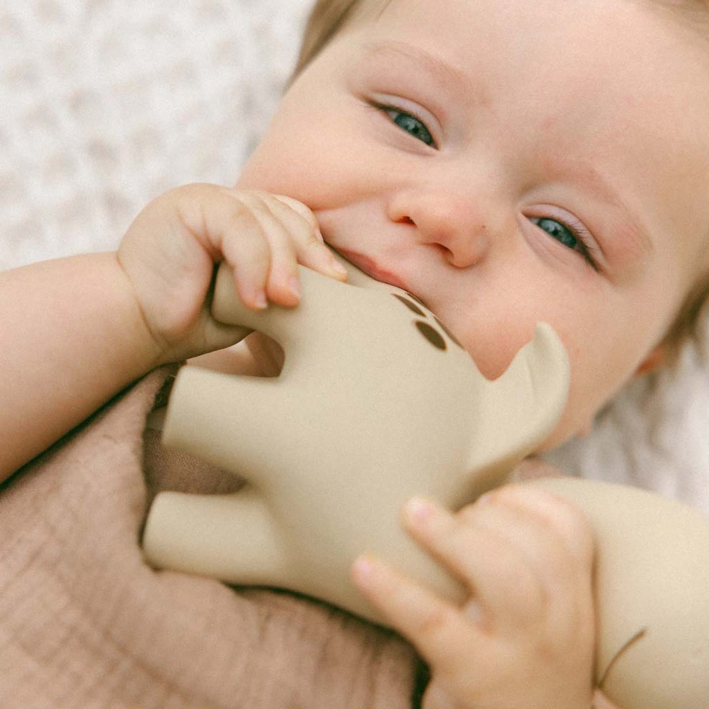 Winnie Parkes Teether | Diplo the Dino-Dragon (Brown)