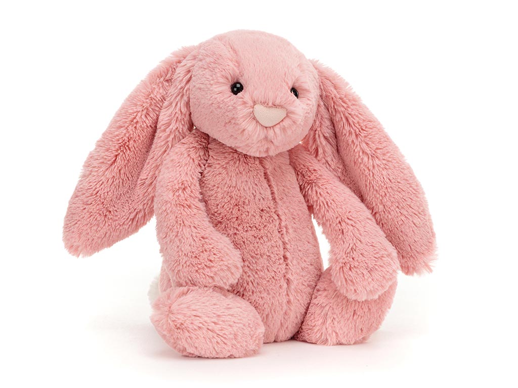 Jellyct Medium Bashful Petal Bunny sitting available at youngn willow