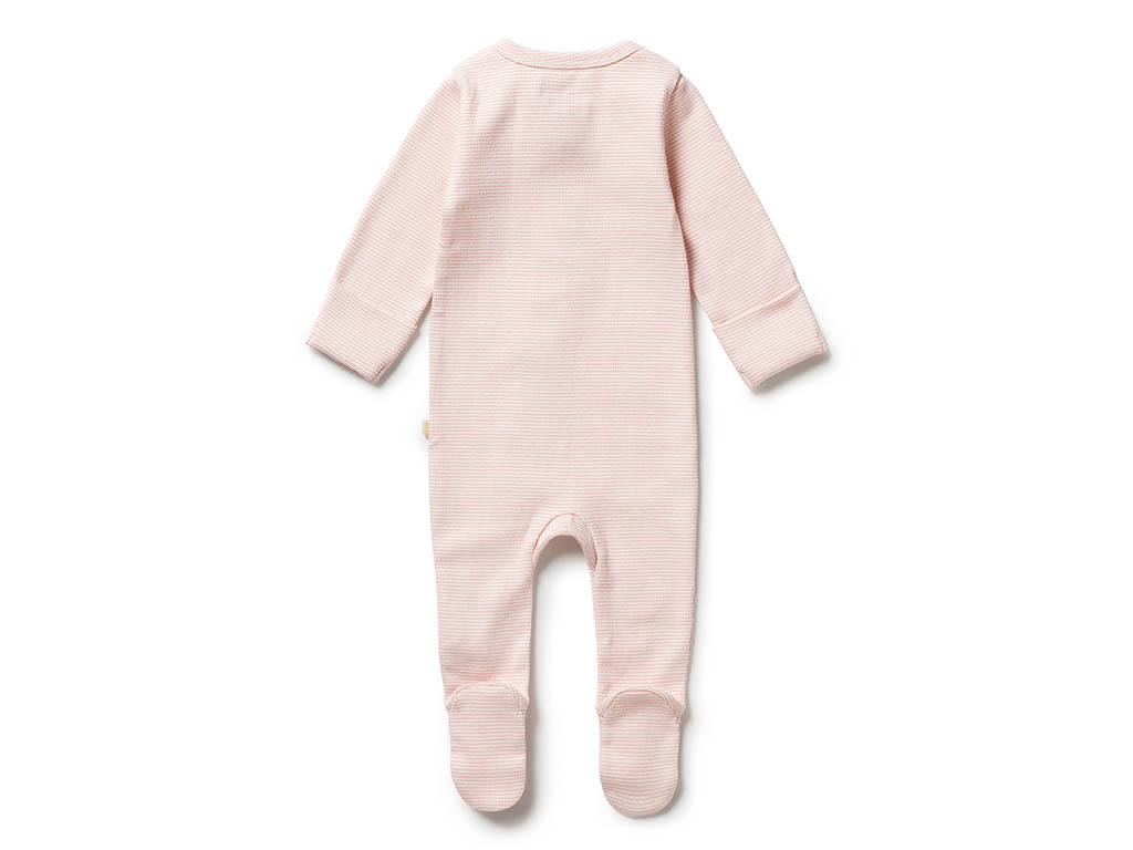 Wilson and Frenchy Cantaloupe Zipsuit | Organic Baby Zip | Young Willow ...